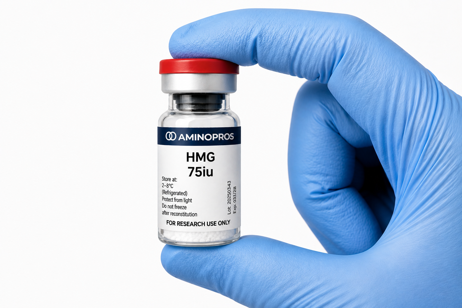 Hmg